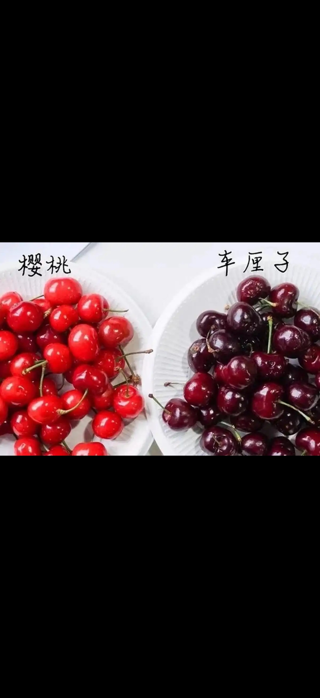 车厘子和樱桃区别